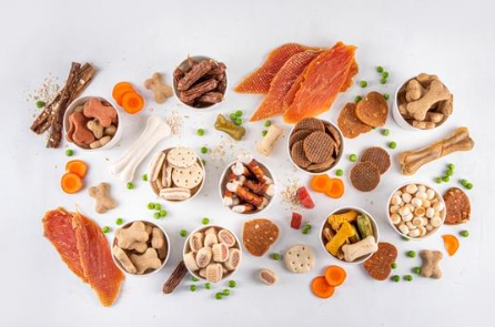 강아지 사료 추천 간식 선택 가이드