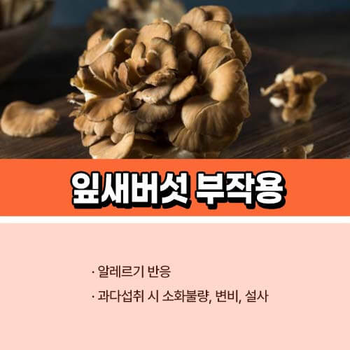 잎새버섯 부작용