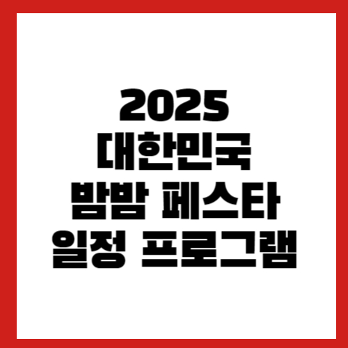 2025 대한민국 밤밤 페스타 일정 프로그램 관련 이미지