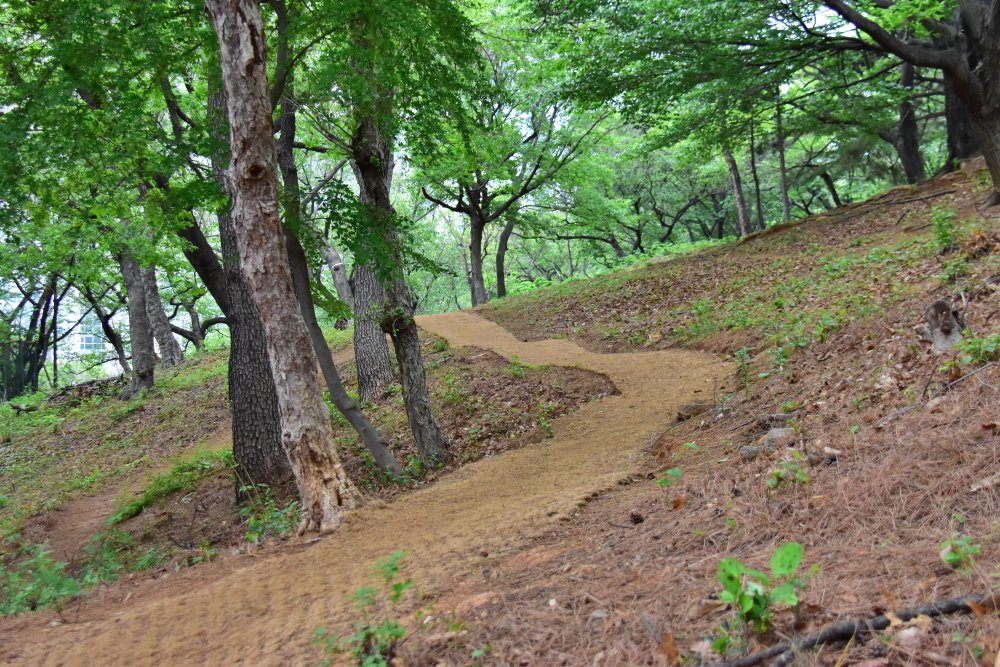연산동 고분군 산책로