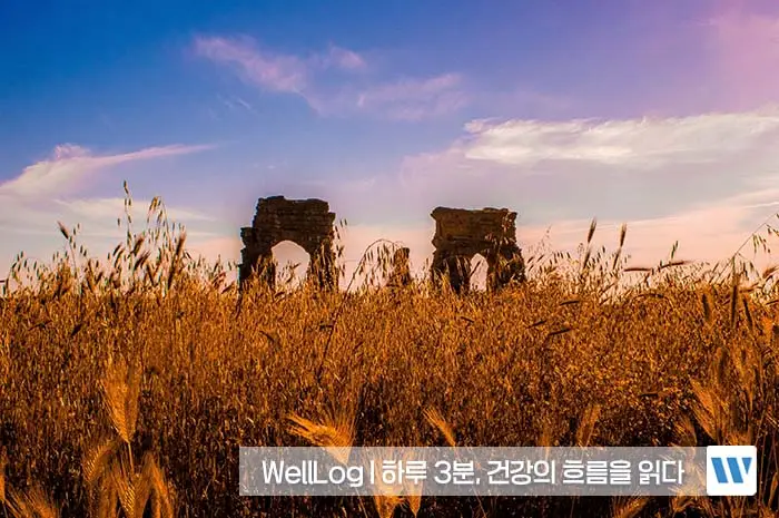 파로 효소 효능, 카무트 효소 효능