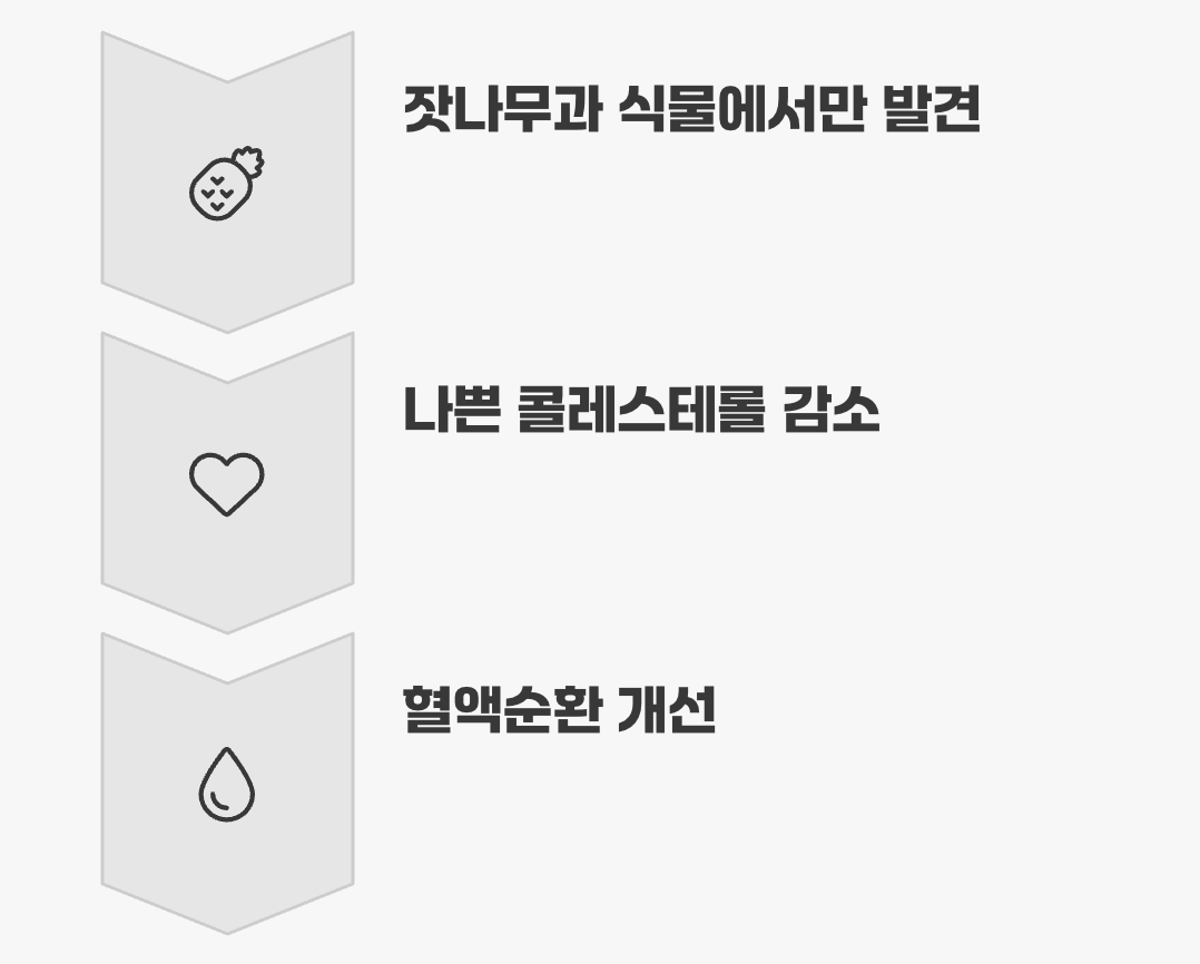 혈관 청소부, '피놀렌산'의 마법