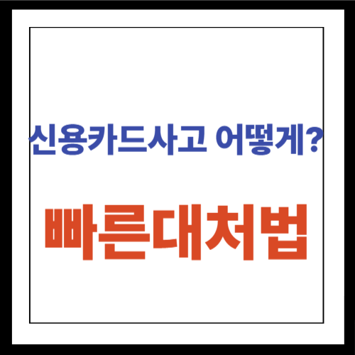 신용카드사고 대응 강화, 각 카드사의 대책