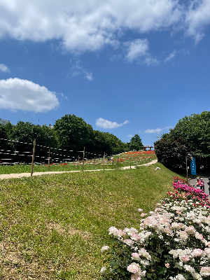 공원 사진은 시간대가 분위기를 결정합니다.