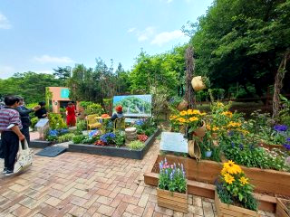 서울국제정원박람회 ❘ 입장표 가는 길 장소 일정 주차