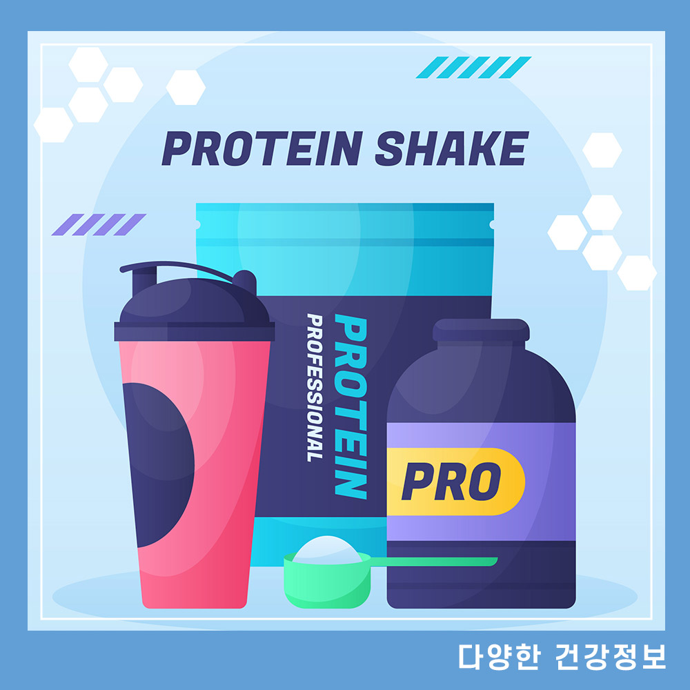 단백질-보충제-프로틴-섭취량