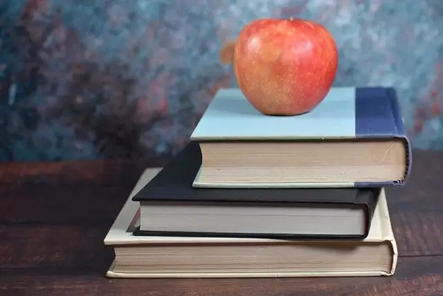 보건교사 자격증 신청 방법 총정리｜자격요건부터 절차까지 완벽 안내