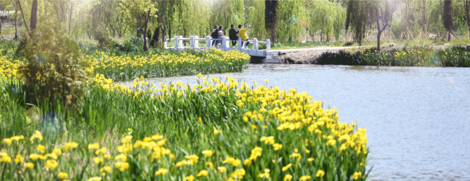 거창 창포원 가볼만한 이유 6가지, 지금 떠나야 할 이유!