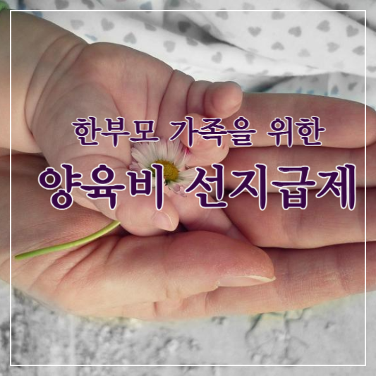 양육비 선지급제