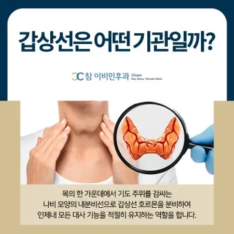 갑상선 기능 저하증 증상 6가지는 무엇인지 알아보기_10