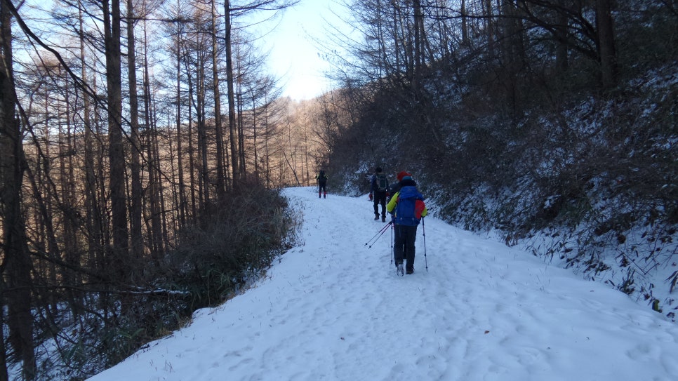 100대 명산 등산하기 열번째 지리산 바래봉(1,165m) 철쭉으로 전국적으로 유명하며, 지리산 북부 능선의 아름다움을 가장 가까이서 볼 수 있는 명소