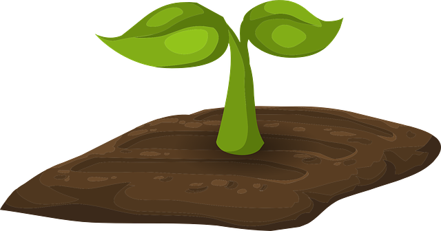 어린이 청소년 필수 영양소 영양제 추천