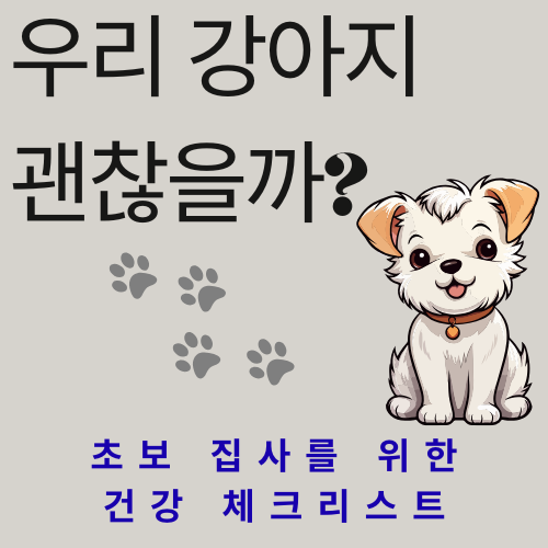 우리 강아지 괜찮을까? 초보 집사를 위한 건강 체크리스트