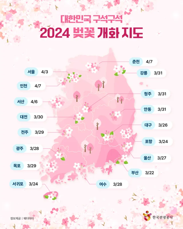 벚꽃 개화시기 2025 만개시기 히든스팟_5