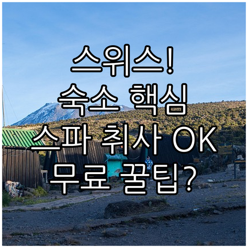 여행 스타일에 따라 고르는 스위스 숙..