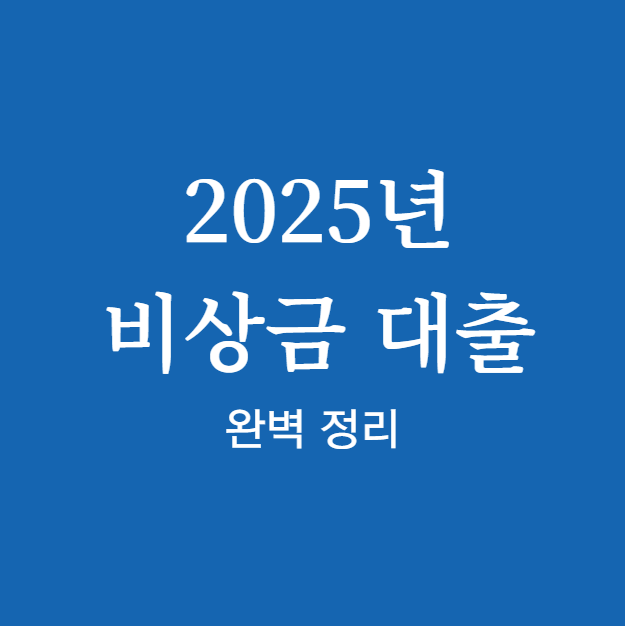 2025년 비상금 대출 신청
