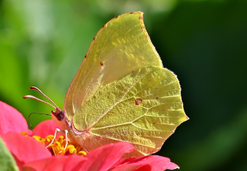 예금자 보호법 1억 시행시기 쉽게 정리 22