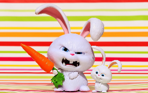 영화 애니메이션 캐릭터