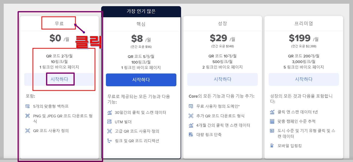 비틀리 사용법