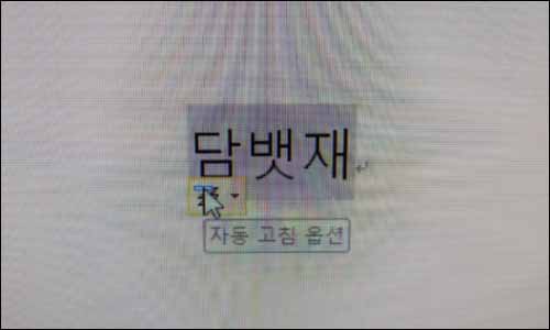사진설명2