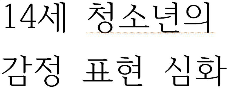 14세 청소년의 감정 표현 심화