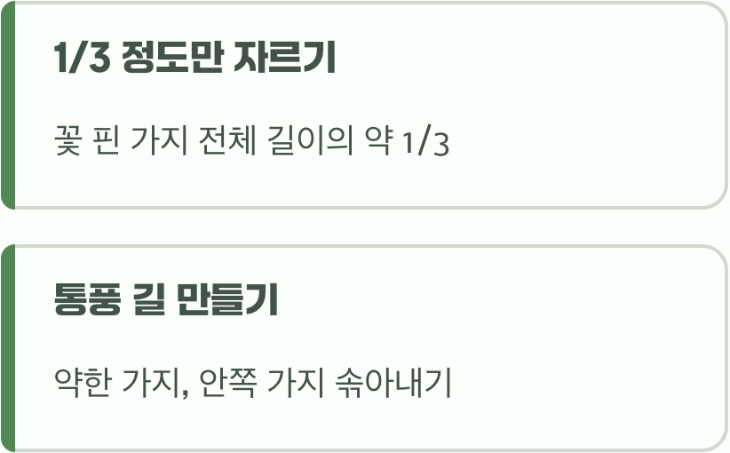 어떻게 잘라야 할까? (실전 팁)