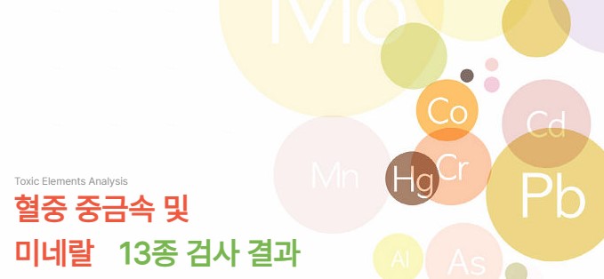 혈액 중금속 및 미네랄 검사 결과지 사진