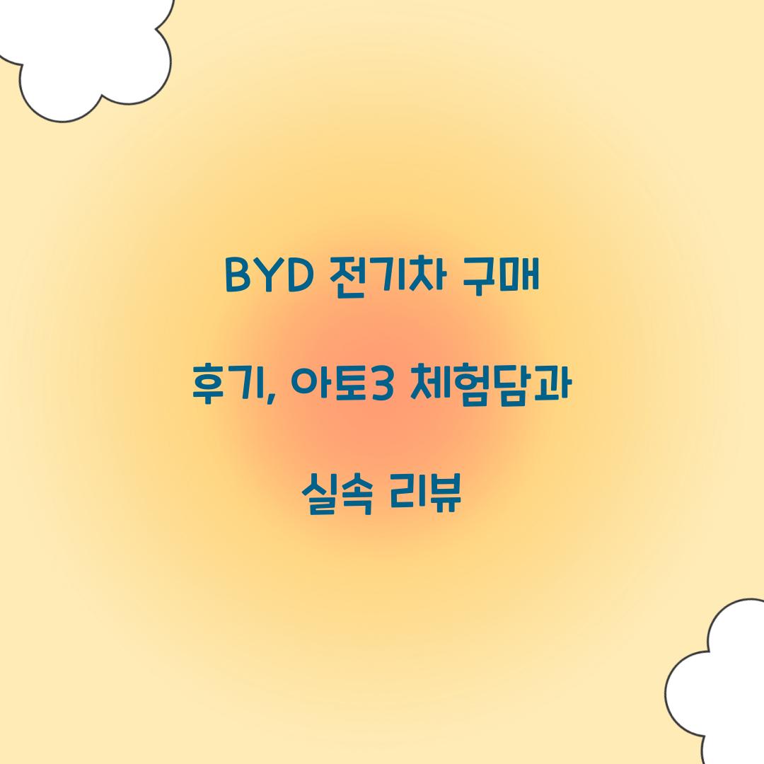BYD 전기차 구매 후기