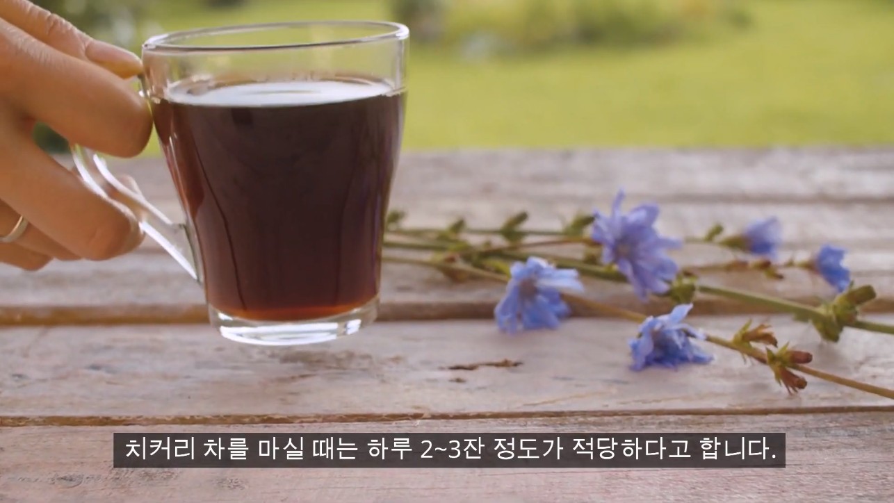 치커리 차를 마실 때는 하루 2~3잔 정도가 적당하다고 합니다.