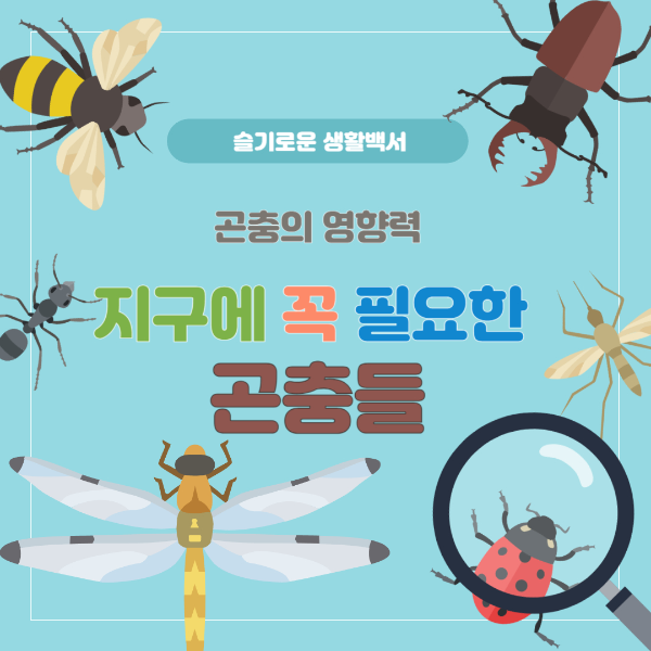 곤충들