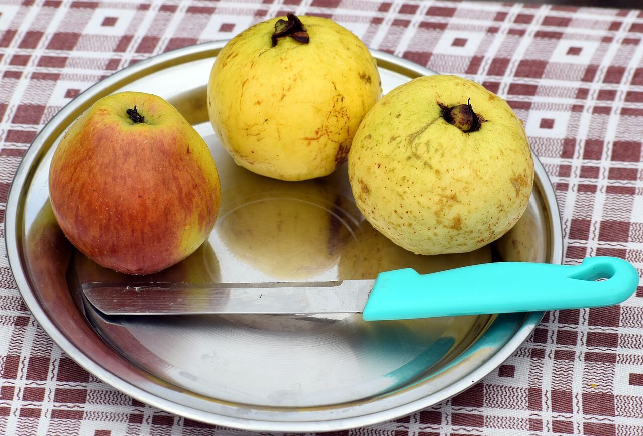 구아바 효능과 먹는 법