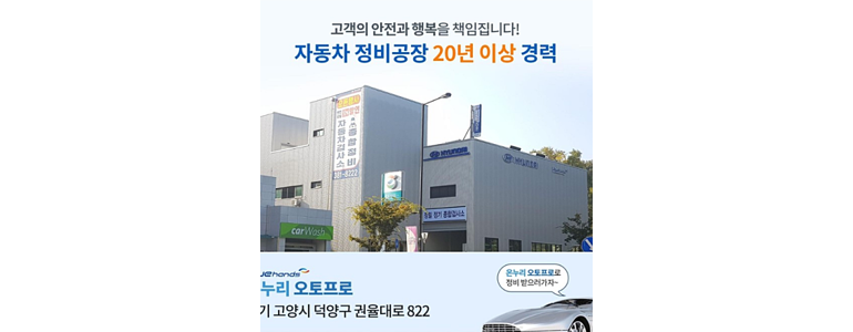 고양 덕양구 블루핸즈