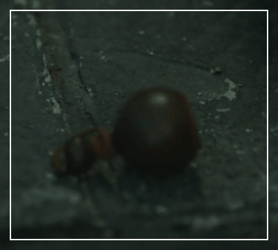 아라문의 검 9회 줄거리 리뷰 : 태알화가 놓친 독약