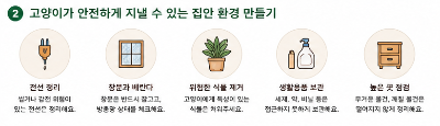 집냥이 혼자 집에 있을 때 외출 전 꼭 확인해야 할 안전관리 방법 등 주의사항 체크