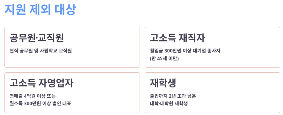 지원 제외 대상 (발급 불가)