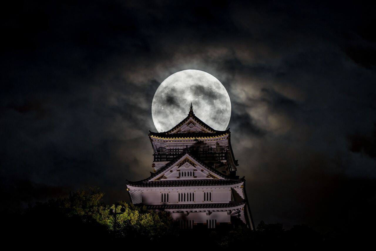 일본 역시 달에 관심을 보였다