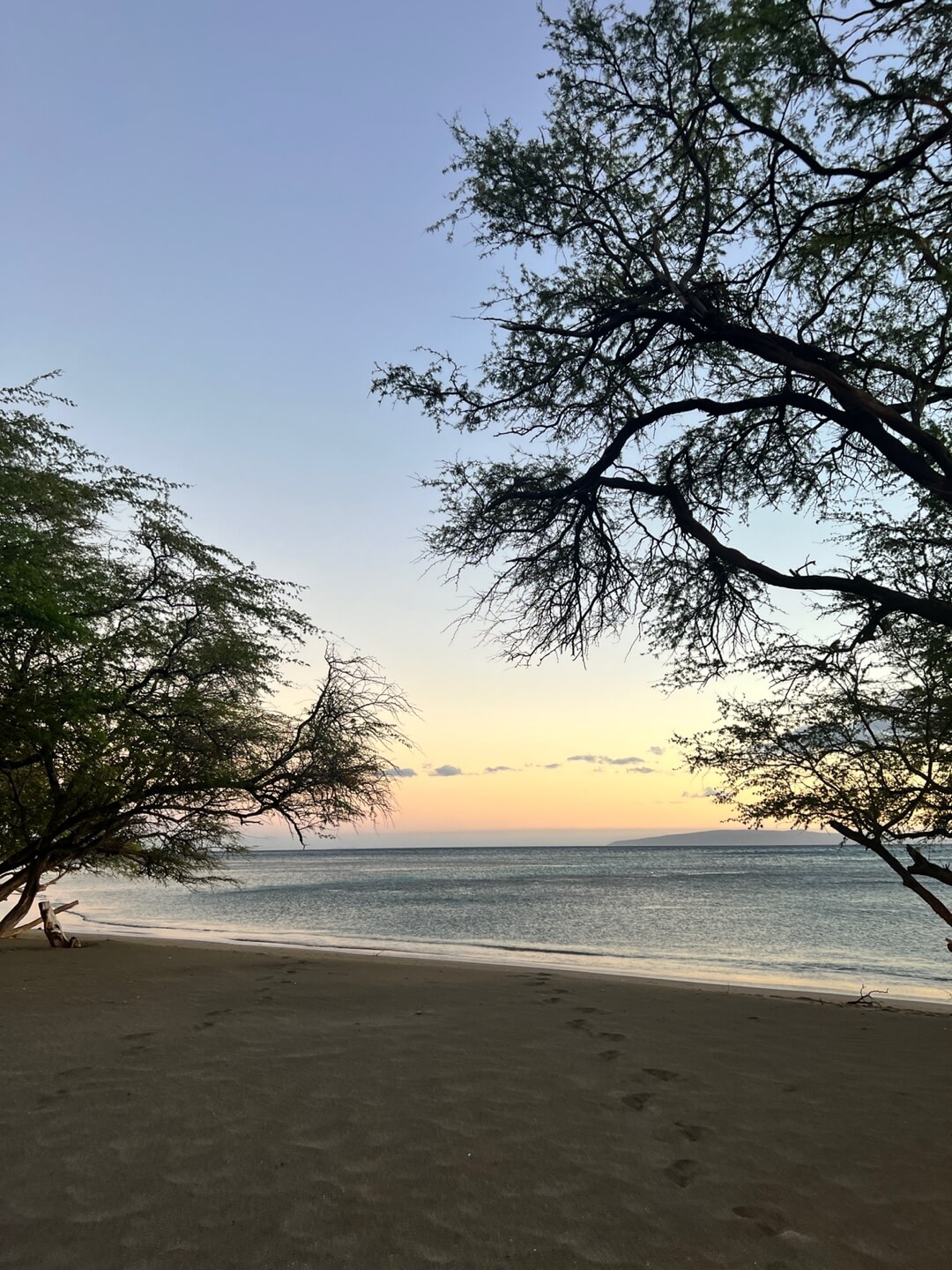 하와이 자유여행 오아후섬