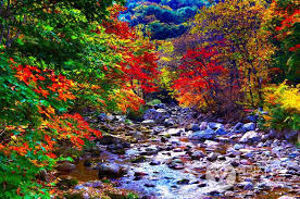 10월 아름다운 단풍산행지