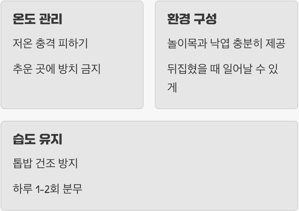 이것만은 꼭! '관리'의 핵심 포인트