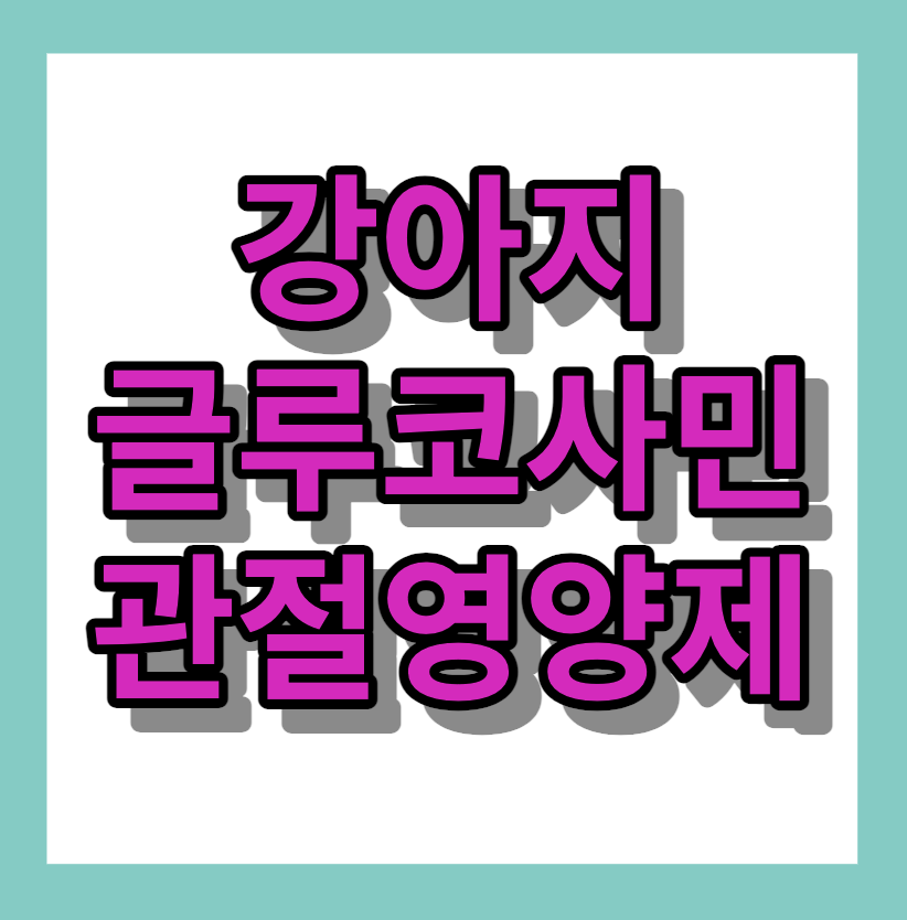 강아지글루코사민