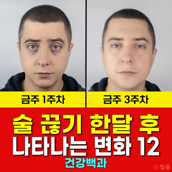 술 끊기 한달 술 끊으면 변화