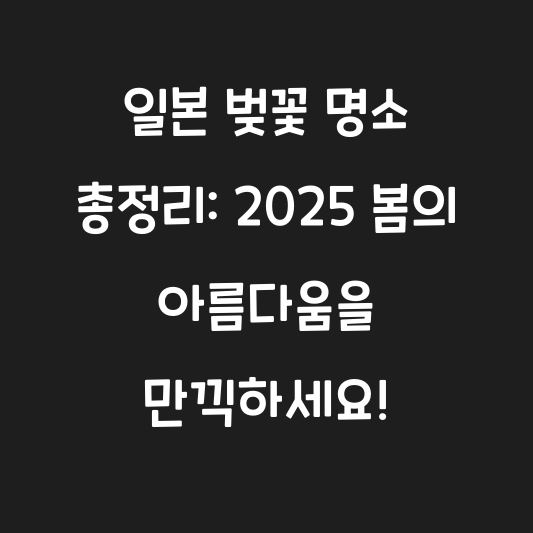 일본 벚꽃 명소 총정리: 2025 봄의 아름다움을 만끽하세요! 대표 이미지