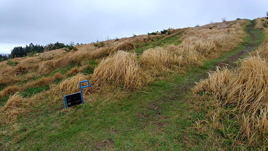 제주 올레길 1코스. 알봉으로 향하는 길