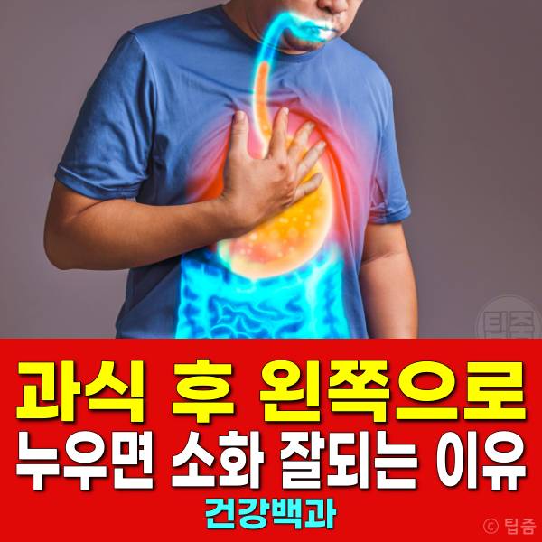 과식했을때 왼쪽으로 누우면 소화 잘되는 이유 과식 후 대처