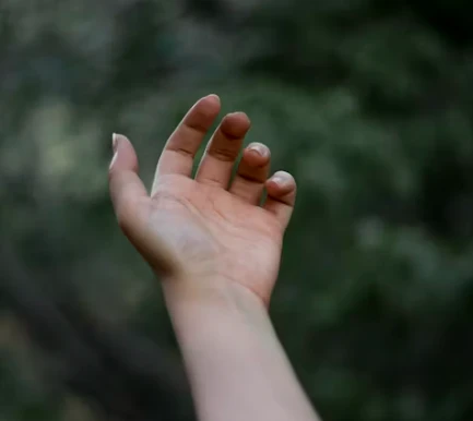 손목