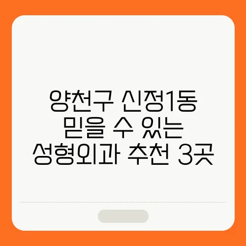 양천구 신정1동 믿을 수 있는 성형외과 추천 3곳