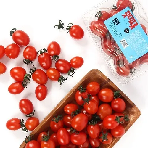 스테비아 방울토마토 칼로리 혈당 하루 섭취량_3