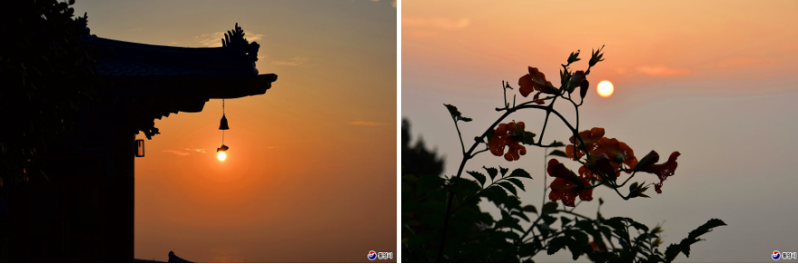 수국이 피는 바다 마을, 욕지도 수국 명소 완전 정리