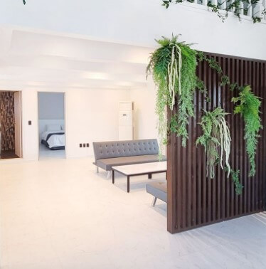 스테이 더 딜라잇