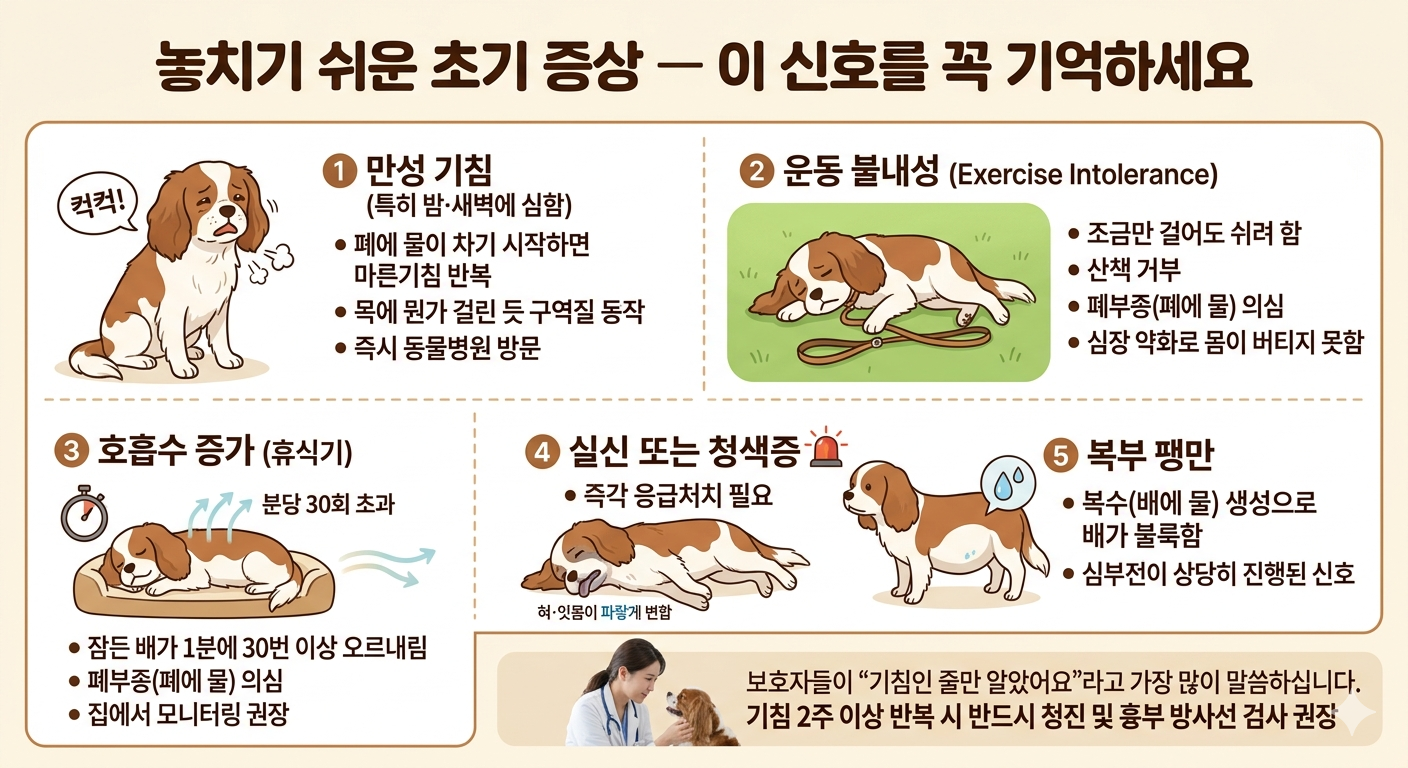 강아지 심장병 놓치기 쉬운 초기 증상